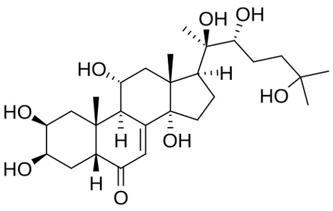 turkesterone: an ecdysteroid originally isolated from Ajuga turkestanica