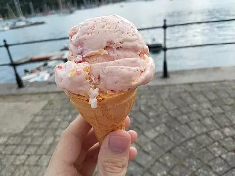 tutti-frutti: a variety of ice cream (or, formerly, other confection) that contains chopped candied fruit