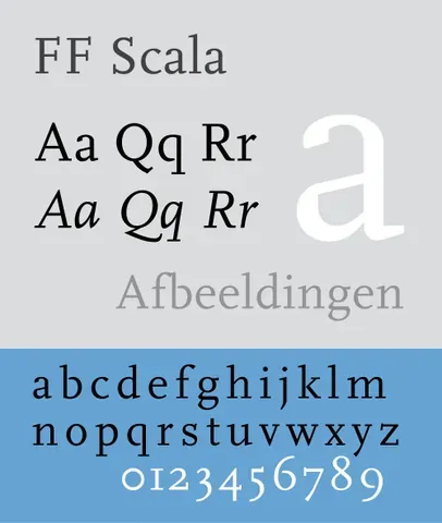 typeface: the particular design of some type, font, or a font family