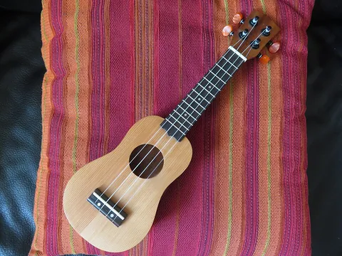 ukulele: a small four-stringed guitar