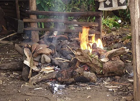 umu: an earth oven used in New Zealand, Samoa, and other Pacific islands, consisting of a hole dug in...