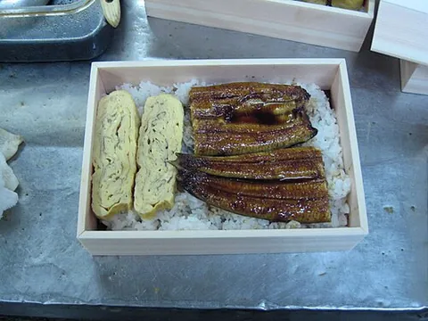unagi: a type of sushi made from freshwater eel