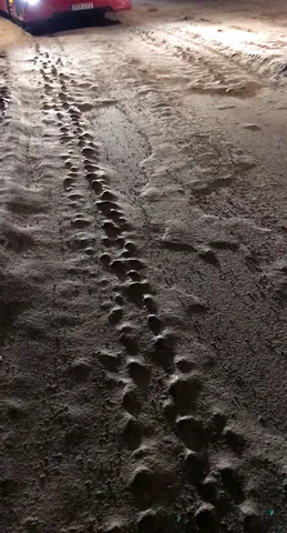 uneven: of a surface, not even; covered with raised spots, pits and grooves