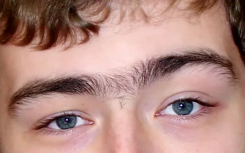 unibrow: a pair of eyebrows which meet in the middle