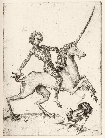 unicornback: the back of a unicorn