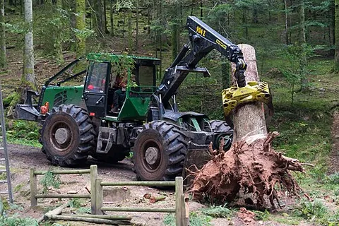 uproot: to tear up (a plant, etc.) by the roots, or as if by the roots; to extirpate, to root up
