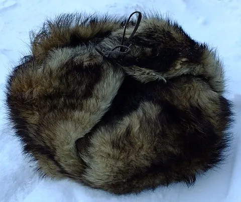 ushanka: a traditional Russian fur cap with earflaps