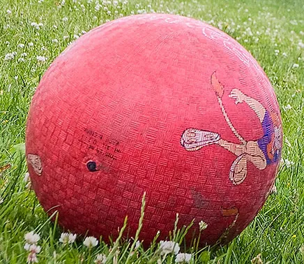 utility ball: a large ball used in children's physical education