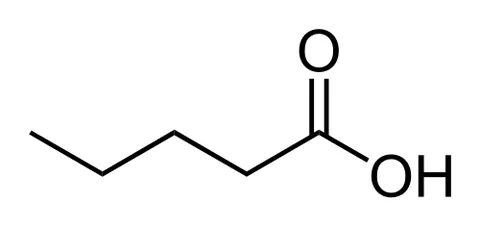 valeric acid: a short chain aliphatic carboxylic acid, CH₃(CH₂)₃COOH, obtained from the roots of valerian; used...