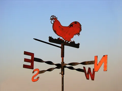 vane: a weather vane