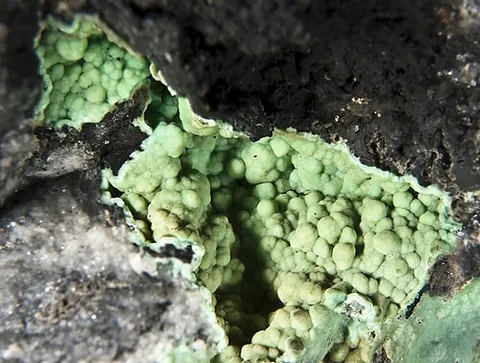 variscite: a relatively rare hydrated aluminum phosphate mineral (AlPO₄·2H₂O), sometimes confused with...