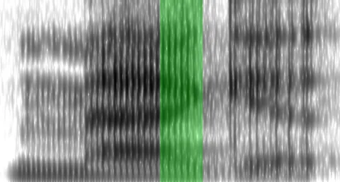 velar pinch: the "pinch" that occurs between the second and third formants of vowels immediately before and...