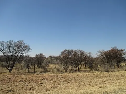 veld: the open grassland or pastureland of South Africa and neighbouring countries