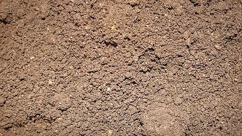 vermicompost: to employ worms to break down organic waste into soil or humus