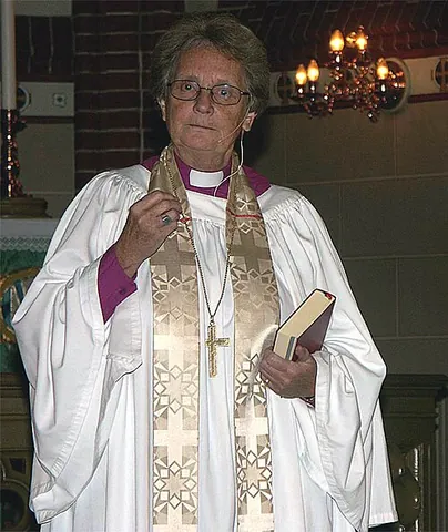 vestment: a robe, gown, or other article of clothing worn as an indication of office
