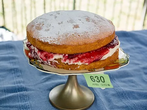 victoria sponge: a type of sponge cake with a layer of jam sandwiched in the middle