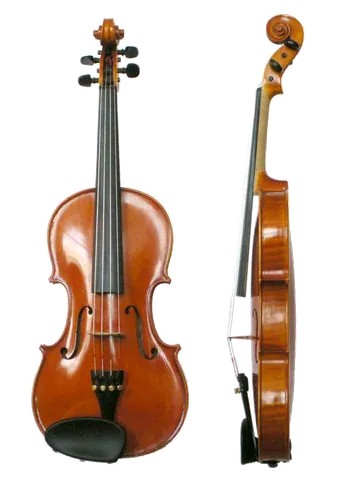 violin: a small unfretted stringed instrument with four strings tuned (lowest to highest) G-D-A-E, usually...