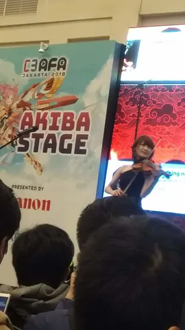 violinist: a person who plays the violin