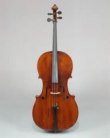 violoncello: synonym of cello