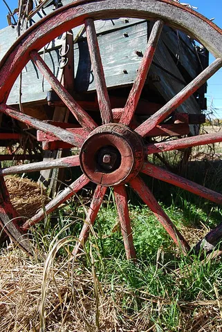 wagon wheel: the wheel of a wagon, including railway wagons