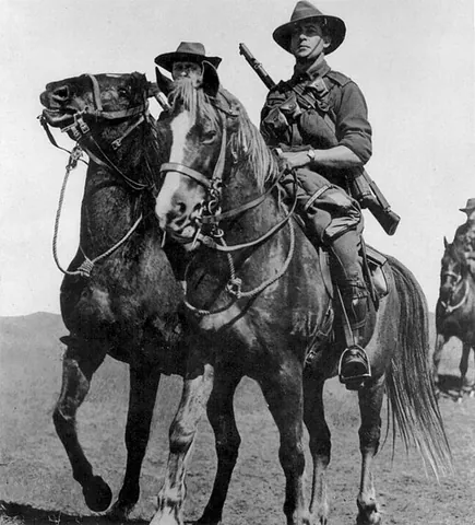 waler: a breed of light saddle horse from Australia, once favoured as a warhorse