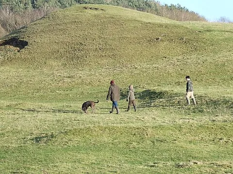 walk the dog: to take a dog for a walk, so as to give it exercise
