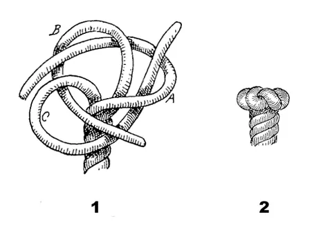 wall knot: a knot made by untwisting the strands of a rope, and making a bight with the first strand, then...