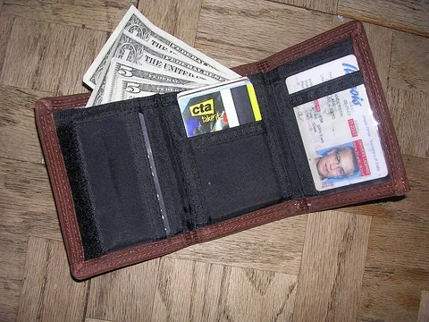 wallet: a small case, often flat and often made of leather, for keeping money (especially paper money),...