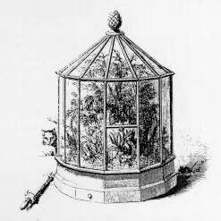 wardian case: an early kind of protective container for transporting plants etc