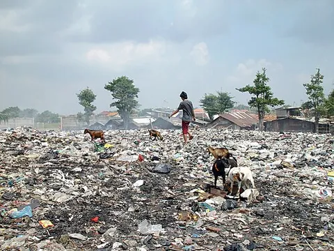 waste picker: a person who salvages reusable or recyclable materials thrown away by others to sell or for...