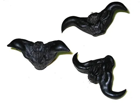water caltrop: an East Asian water plant, of species Trapa bicornis, with a horn-like nut
