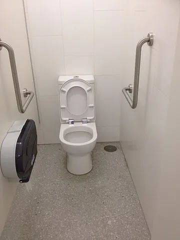 water closet: a room containing a flush toilet