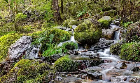 watercourse: any channel, either natural or artificial, through which water flows