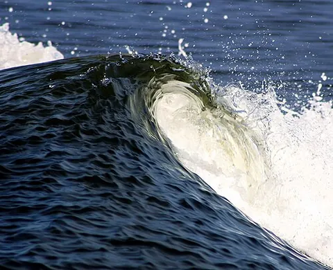 wave: to move back and forth repeatedly and somewhat loosely
