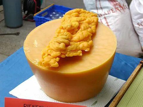 wax: any oily, water-resistant, solid or semisolid substance; normally long-chain hydrocarbons, alcohols...