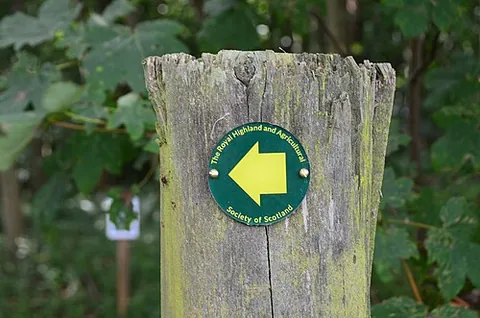 waymark: a sign or symbol marked in a prominent position in an off-road location to show the track of a...