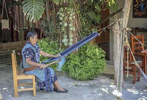 weaver: a person who weaves; especially, one who weaves cloth for a living