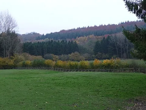 wenlock edge: a limestone escarpment in south Shropshire, England, which extends south-west from Much Wenlock...