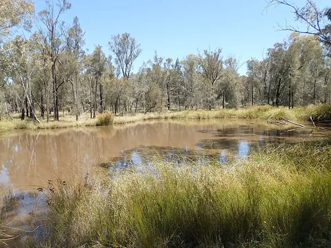 wetland: land that is covered mostly with water, with occasional marshy and soggy areas