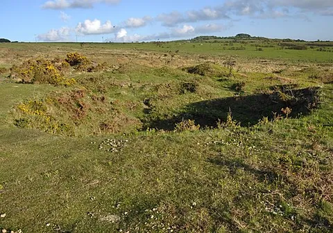 wheal: a small raised swelling on the skin, often itchy, caused by a blow from a whip or an insect bite etc