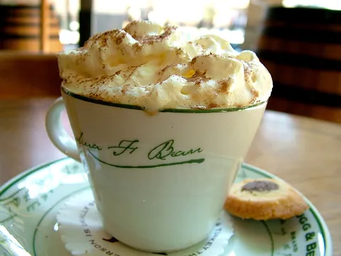 whipped cream: thick cream that has had air incorporated into it by rapid beating