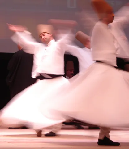 whirl: to rotate, revolve, spin or turn rapidly