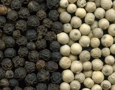 white pepper: a spice consisting of the light-colored seed of the black pepper fruit without the dark-colored...
