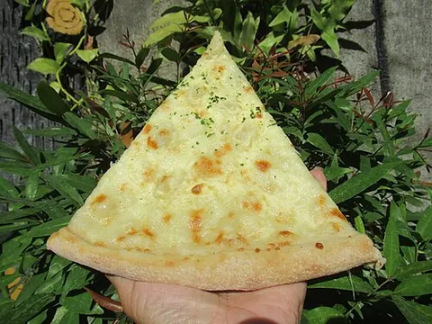 white pizza: a pizza made without tomato sauce