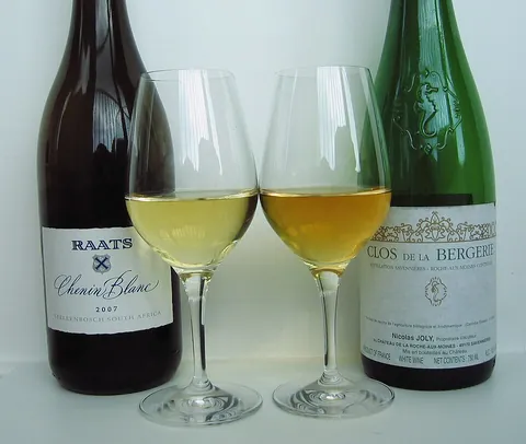 white wine: light-colored wine (usually yellow with a hint of green but not pink)