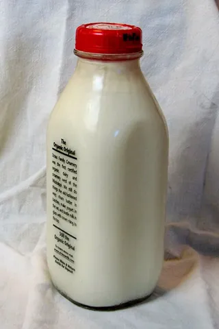 whole milk: milk from which none of its constituents (e.g. fat) have been removed