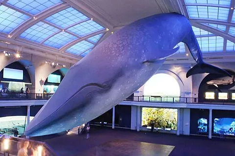 whopping: exceptionally great or large