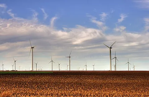 wind farm: a collection of wind turbines, especially a large-scale array, used to generate electricity