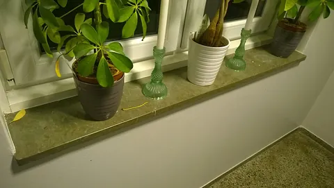 windowsill: the horizontal member protruding from the base of a window frame