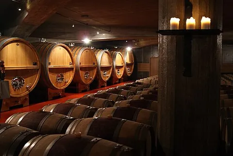 wine cellar: an underground place for storing wine at a constant temperature